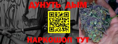 сатива Сланцы