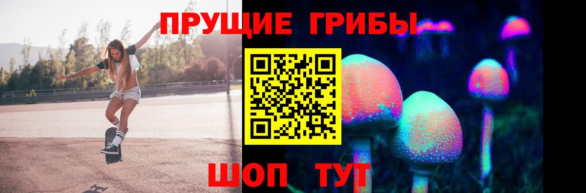 Новоуральск  Псилоцибиновые грибы Magic Shrooms  что такое   Вход с VPN 